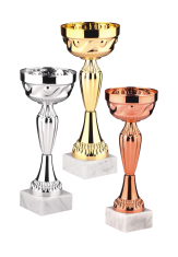 Кубок наградной  26 cm 9544/A купить в Минске.