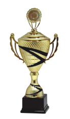 Кубок наградной cz.12 9080/B купить в Минске.