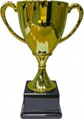 Кубок наградной D=10см 9424/B купить в Минске.