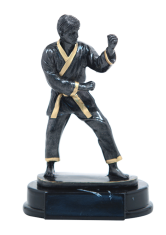 Кубок наградной  20cm JR 56208 купить в Минске.