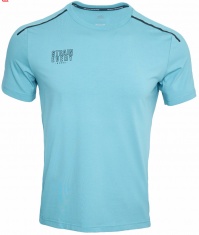 Футболка спортивная PEAK FW601811 (Керамический Зеленый) купить в Минске. Футболка спортивная PEAK FW601811 (Керамический Зеленый) купить в Минске.