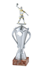 Кубок наградной  30 cm 9865/C купить в Минске.