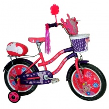 Велосипед детский для девочек Amigo-001 Lovely princess 16" купить в Минске.