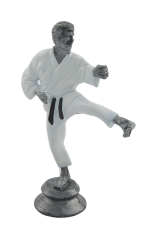Статуэтка карате FK05W купить в Минске.