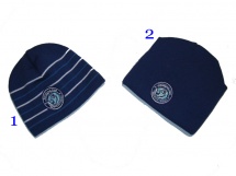 Шапка ХК "Динамо-Минск" зимняя (васильково-синяя) купить в Минске.