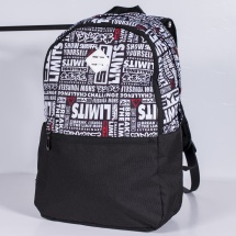 Рюкзак PEAK B101510 Темно Серый купить в Минске. Рюкзак PEAK B101510 Темно Серый купить в Минске.