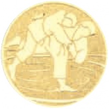 Эмблема для медали борьба 25mm B6 купить в Минске.