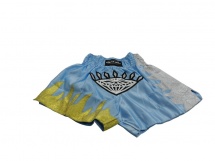 Трусы тайские (муай-тай) "VIMPEX SPORT" D купить в Минске. Трусы тайские (муай-тай) "VIMPEX SPORT" D купить в Минске.