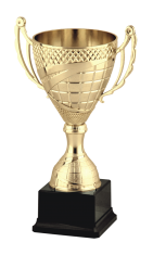 Кубок наградной cz.8 9109/D купить в Минске.