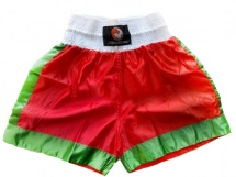 Шорты бокс "Panthera" купить в Минске.