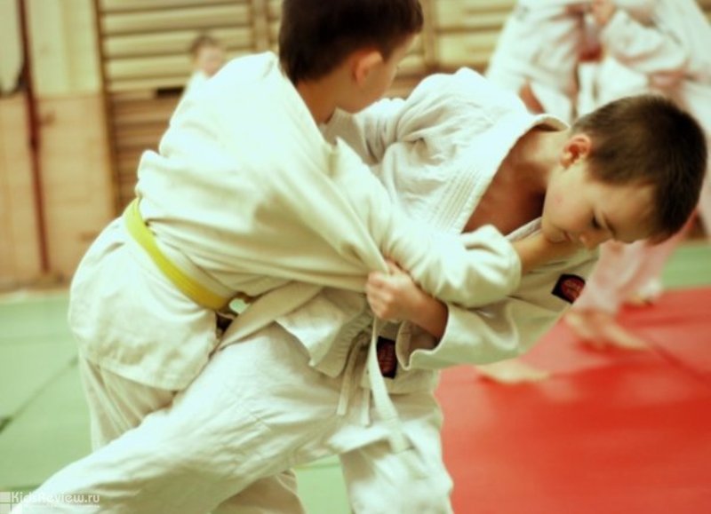 Спортивные клубы Могилевской области