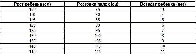 купить лыжные палки
