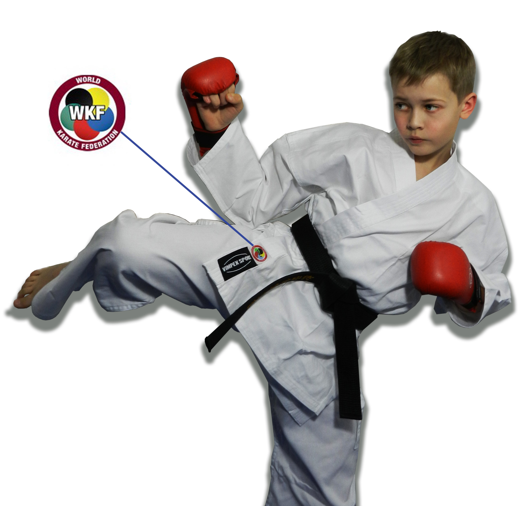 Пояс WKF